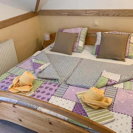Guesthouse Draga Begunje na Gorenjskem Buitenkant foto
