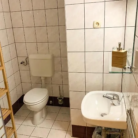 Guesthouse Draga Begunje na Gorenjskem Buitenkant foto