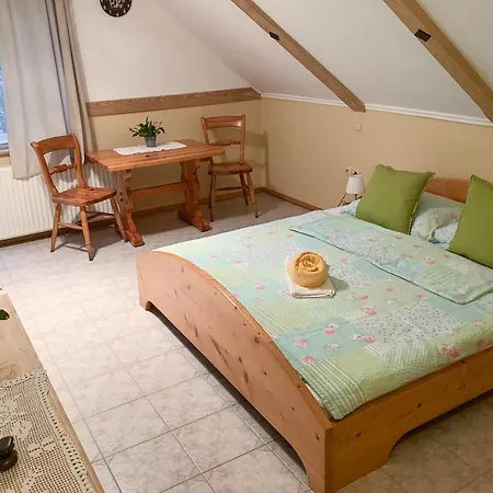 Guesthouse Draga Begunje na Gorenjskem Buitenkant foto