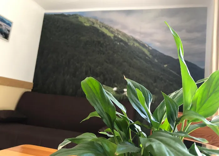 Guesthouse Draga